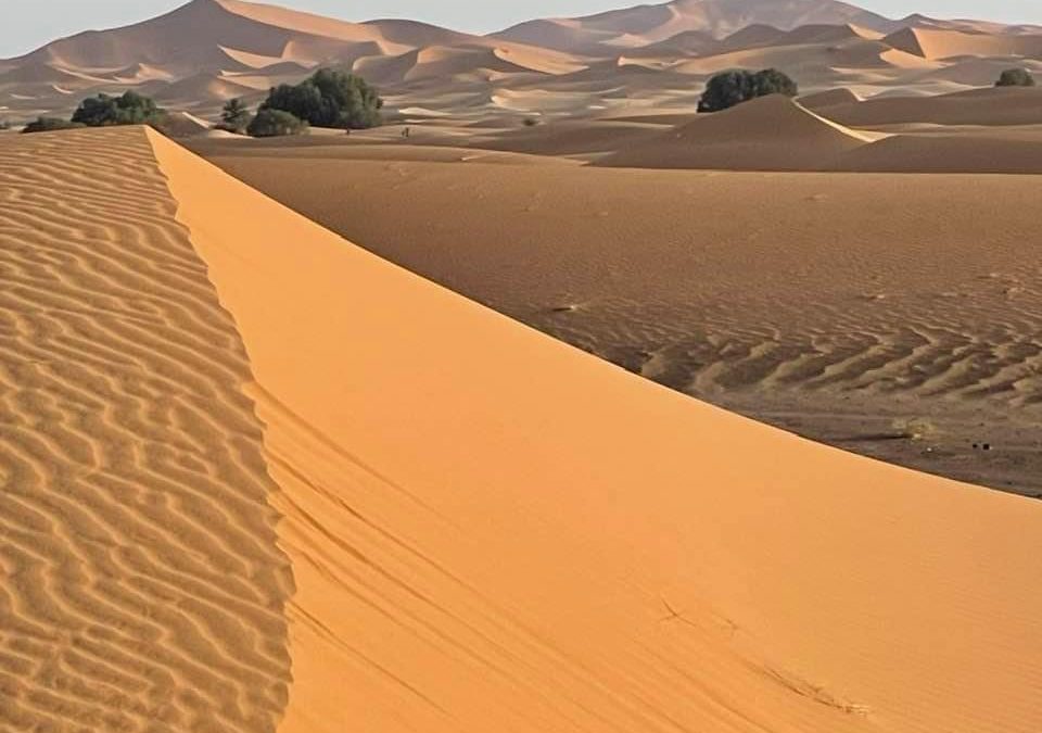 TOUR DE CASABLANCA AL DESIERTO